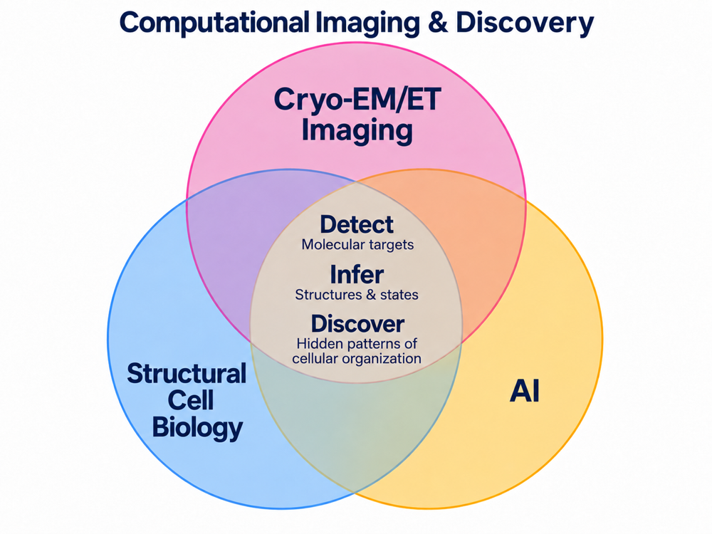 Cryo-EM/ET imaging, structural cell biology, and AI come together to detect molecular targets, infer structures and states, and discover hidden patterns of cellular organization